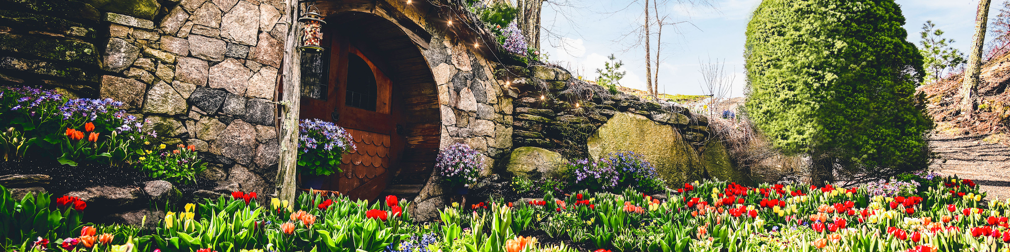 Step into the enchanting Hobbit House Photo Experience™ at The Preserve, surrounded by a springtime bloom of tulips and florals.