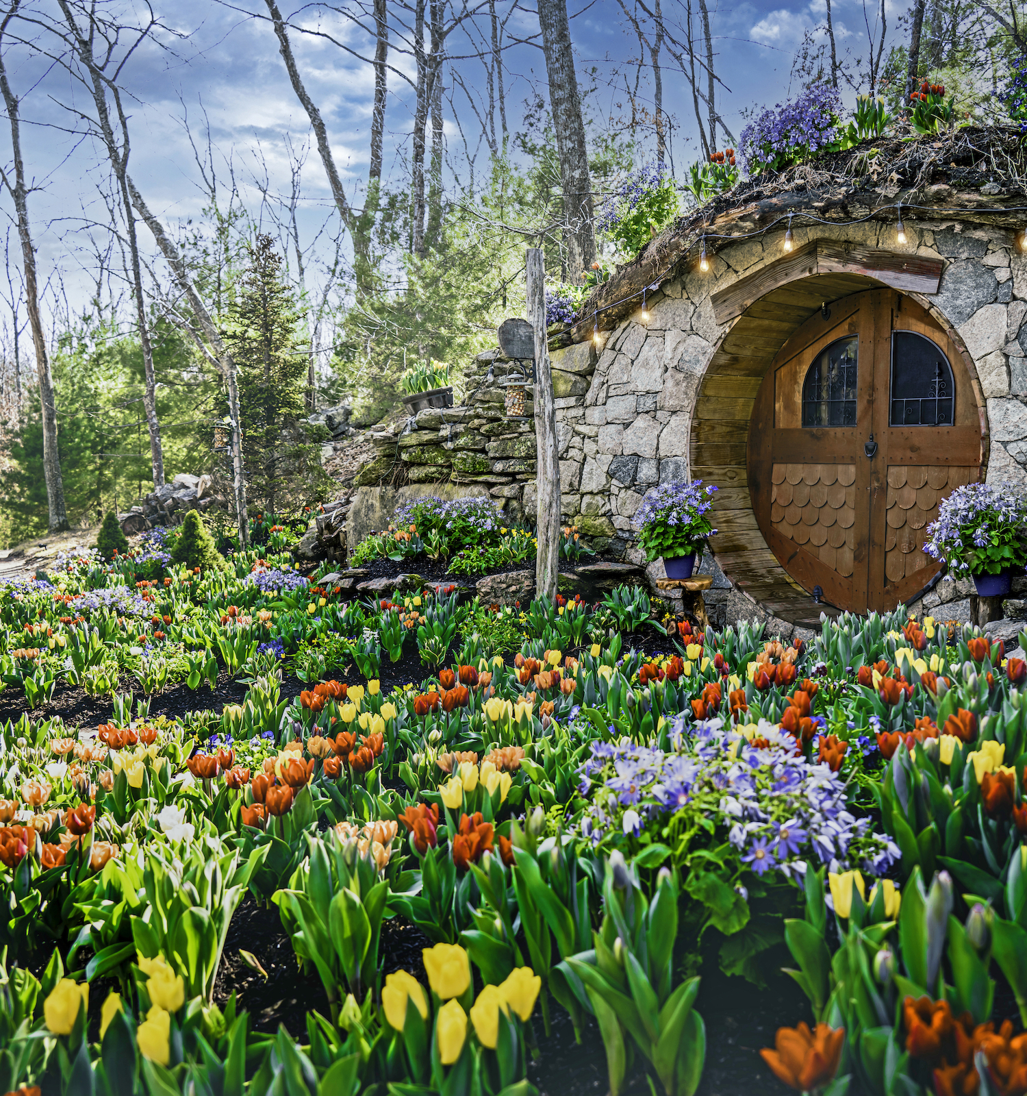 Capture the essence of spring at The Preserve's Hobbit House Photo Experience™, with a colorful carpet of tulips leading to the charming stone doorway.